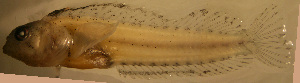  ( - d11711er227)  @11 [ ] CreativeCommons - Attribution Non-Commercial Share-Alike (2011) Benjamin Victor Benjamin Victor