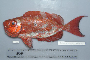  ( - UG0289)  @11 [ ] CreativeCommons - Attribution (2009) CBG Photography Group Centre for Biodiversity Genomics