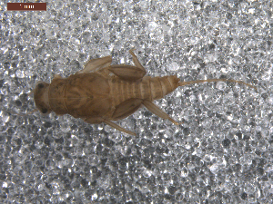  ( - BIOUG00640-D08)  @12 [ ] CreativeCommons - Attribution (2011) Centre for Biodiversity Genomics Centre for Biodiversity Genomics