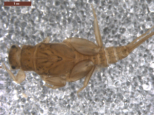  ( - BIOUG00640-D10)  @12 [ ] CreativeCommons - Attribution (2011) Centre for Biodiversity Genomics Centre for Biodiversity Genomics