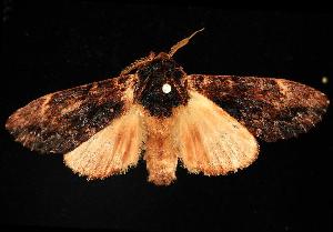  ( - 06-NSWL-00400)  @13 [ ] Copyright (2010) Unspecified Unspecified