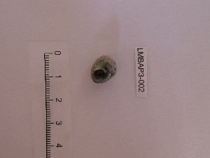  ( - LMBAP3-002)  @12 [ ] Unspecified (default): All Rights Reserved  Unspecified Unspecified