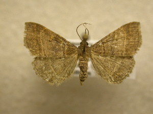  ( - 10-NCCC-228)  @13 [ ] No Rights Reserved (2010) James Sullivan Research Collection of J. B. Sullivan