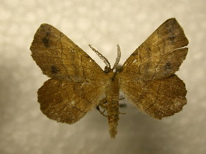  ( - 10-NCCC-365)  @13 [ ] No Rights Reserved (2010) James Sullivan Research Collection of J. B. Sullivan