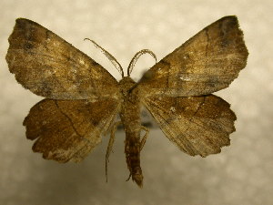  ( - 10-NCCC-367)  @13 [ ] No Rights Reserved (2010) James Sullivan Research Collection of J. B. Sullivan