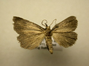  ( - 11-NCCC-416)  @13 [ ] No Rights Reserved (2011) JB Sullivan Research Collection of J. B. Sullivan