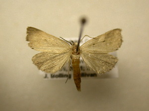  ( - 11-NCCC-462)  @13 [ ] No Rights Reserved (2011) JB Sullivan Research Collection of J. B. Sullivan