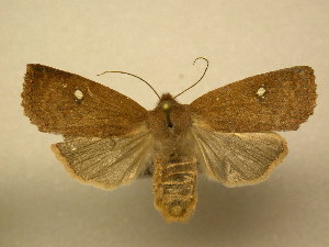  ( - 11-NCCC-0035)  @13 [ ] No Rights Reserved (2010) James Sullivan Research Collection of J. B. Sullivan