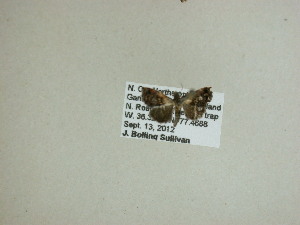  ( - 13-NCCC-514)  @12 [ ] No Rights Reserved (2013) James Sullivan Research Collection of J. B. Sullivan