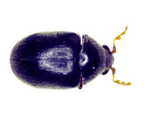  ( - BC-LNEF-2022-109)  @11 [ ] CreativeCommons Attribution (2022) Thomas Barnouin Unspecified