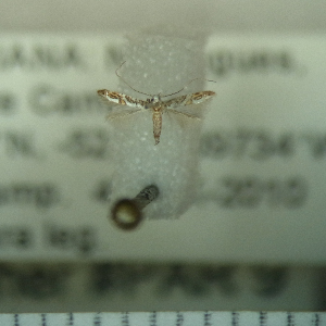  ( - AYK-FG10-066)  @12 [ ] Copyright (2011) Akito Kawahara Unspecified