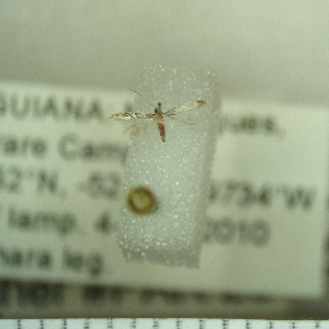  ( - AYK-FG10-077)  @12 [ ] Copyright (2011) Akito Kawahara Unspecified