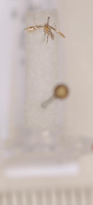  ( - CLV1361)  @12 [ ] Copyright (2010) David C. Lees Unspecified