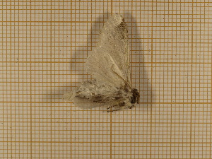  ( - CLV3931)  @12 [ ] Copyright (2012) Olivier Bouteleux Unspecified