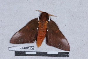  ( - NS-RR0154)  @11 [ ] Copyright (2011) Rodolphe Rougerie University de Rouen