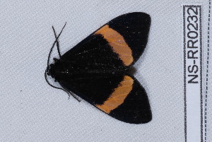  ( - NS-RR0232)  @13 [ ] Copyright (2011) Rodolphe Rougerie University de Rouen