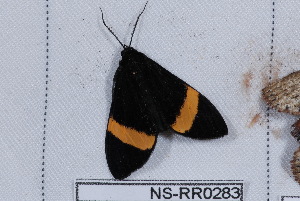  ( - NS-RR0283)  @13 [ ] Copyright (2011) Rodolphe Rougerie University de Rouen