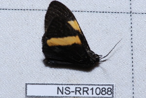  ( - NS-RR1088)  @13 [ ] Copyright (2011) Rodolphe Rougerie University de Rouen