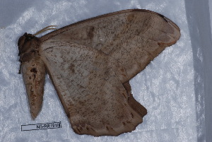  ( - NS-RR1910)  @13 [ ] Copyright (2011) Rodolphe Rougerie University de Rouen