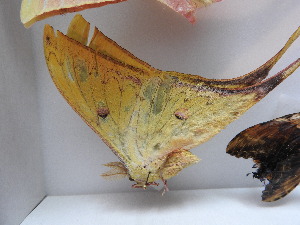  ( - 17_FAZS_231)  @12 [ ] CreativeCommons - Attribution Non-Commercial Share-Alike (2017) Markus Franzen Linnaeus university