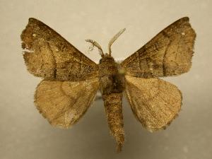 ( - 07-CRBS-954)  @13 [ ] Unspecified (default): All Rights Reserved  Unspecified Unspecified