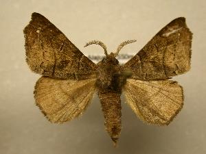  ( - 07-CRBS-955)  @13 [ ] Unspecified (default): All Rights Reserved  Unspecified Unspecified