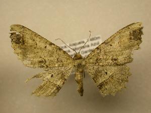  ( - 08-CRBS-020)  @13 [ ] Unspecified (default): All Rights Reserved  Unspecified Unspecified