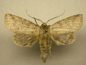  ( - 08-CRBS-076)  @14 [ ] Unspecified (default): All Rights Reserved  Unspecified Unspecified