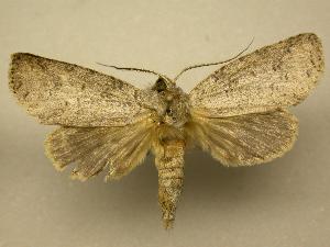  ( - 08-CRBS-077)  @14 [ ] Unspecified (default): All Rights Reserved  Unspecified Unspecified