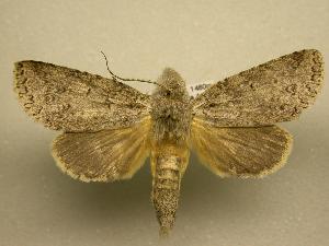  ( - 07-CRBS-1122)  @14 [ ] Unspecified (default): All Rights Reserved  Unspecified Unspecified