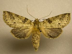  ( - 07-CRBS-1125)  @14 [ ] Unspecified (default): All Rights Reserved  Unspecified Unspecified