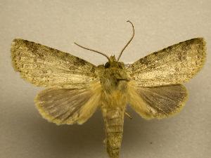  ( - 07-CRBS-1126)  @14 [ ] Unspecified (default): All Rights Reserved  Unspecified Unspecified