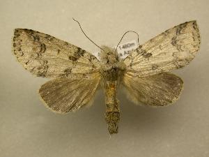  ( - 07-CRBS-1132)  @14 [ ] Unspecified (default): All Rights Reserved  Unspecified Unspecified