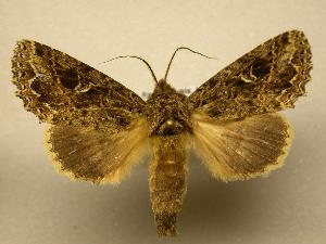  ( - 08-CRBS-215)  @14 [ ] Unspecified (default): All Rights Reserved  Unspecified Unspecified