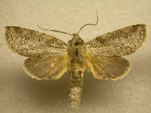  ( - 09-CRBS-450)  @14 [ ] Unspecified (default): All Rights Reserved  Unspecified Unspecified