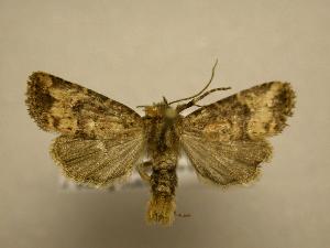  ( - 08-CRBS-703)  @13 [ ] Unspecified (default): All Rights Reserved  Unspecified Unspecified