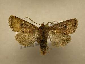  ( - 08-CRBS-713)  @13 [ ] Unspecified (default): All Rights Reserved  Unspecified Unspecified