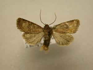  ( - 08-CRBS-722)  @13 [ ] Unspecified (default): All Rights Reserved  Unspecified Unspecified