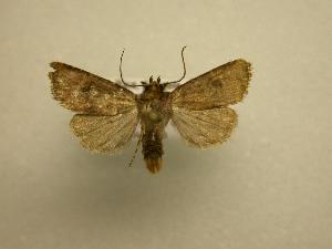  ( - 08-CRBS-723)  @13 [ ] Unspecified (default): All Rights Reserved  Unspecified Unspecified