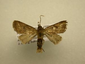  ( - 08-CRBS-724)  @13 [ ] Unspecified (default): All Rights Reserved  Unspecified Unspecified
