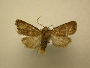  ( - 08-CRBS-726)  @13 [ ] Unspecified (default): All Rights Reserved  Unspecified Unspecified