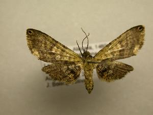  (Laurentine Sullivan9987 - 08-CRBS-762)  @13 [ ] Unspecified (default): All Rights Reserved  Unspecified Unspecified