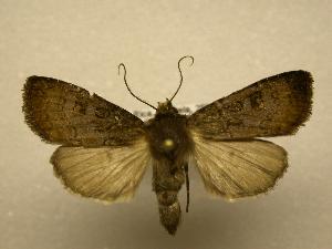  ( - 08-CRBS-846)  @14 [ ] Unspecified (default): All Rights Reserved  Unspecified Unspecified