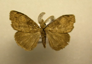  ( - 09-CRBS-179)  @13 [ ] Unspecified (default): All Rights Reserved  Unspecified Unspecified