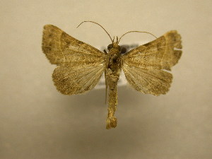  ( - 09-CRBS-184)  @13 [ ] Unspecified (default): All Rights Reserved  Unspecified Unspecified