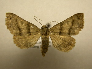  ( - 09-CRBS-188)  @13 [ ] Unspecified (default): All Rights Reserved  Unspecified Unspecified