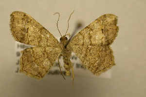  ( - 09-CRBS-255)  @14 [ ] Unspecified (default): All Rights Reserved  Unspecified Unspecified