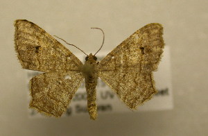  ( - 09-CRBS-257)  @14 [ ] Unspecified (default): All Rights Reserved  Unspecified Unspecified