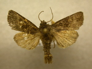  ( - 09-CRBS-325)  @14 [ ] Unspecified (default): All Rights Reserved  Unspecified Unspecified
