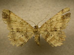  ( - 09-CRBS-789)  @13 [ ] Unspecified (default): All Rights Reserved  Unspecified Unspecified